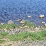 DSC_0010_thumb