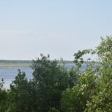 Река Шексна