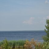 Река Шексна