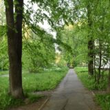 улица Толбухина