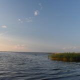 Река Шексна