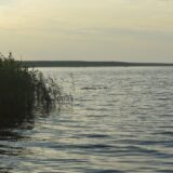 Река Шексна
